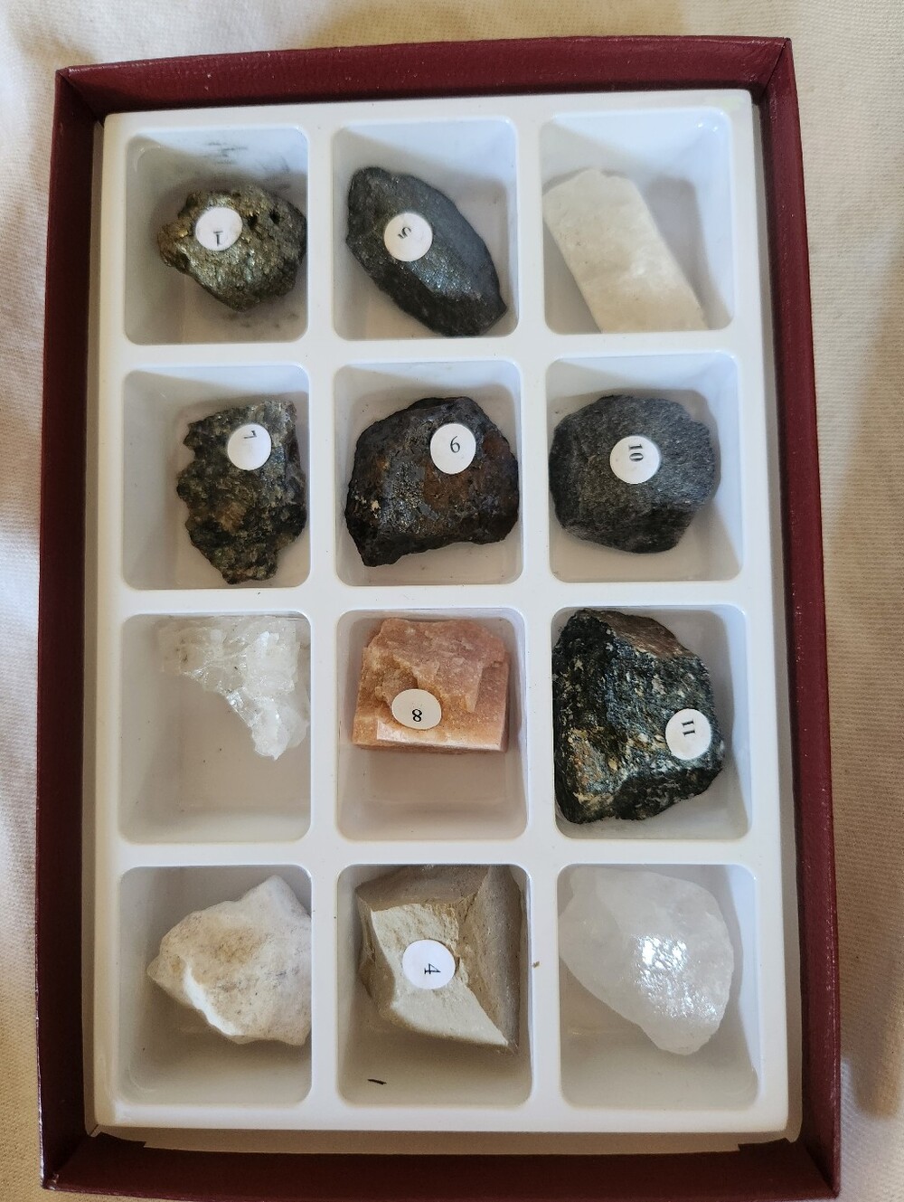 Mineral Identification Kit Rock Collection Educational Science Set 12 Piece